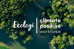 Becoming Climate Positive with Ecologi - Castle of Scent Car Air Freshener