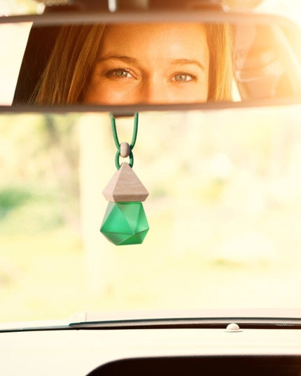ALIEN car air freshener - Matte Refillable Car Air Freshener - Castle of Scent Car Air Freshener, Reusable Air Fresheners for Cars